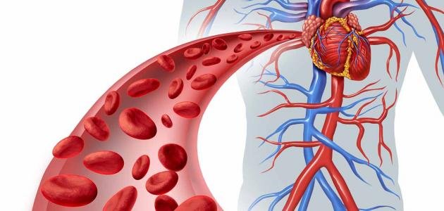 أعراض تمدد الشريان الأورطي